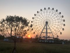 -金卉庄园
