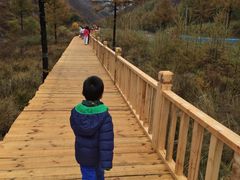 -苏木山森林公园