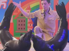 -成都浩海立方海洋公园