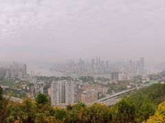-南山植物园