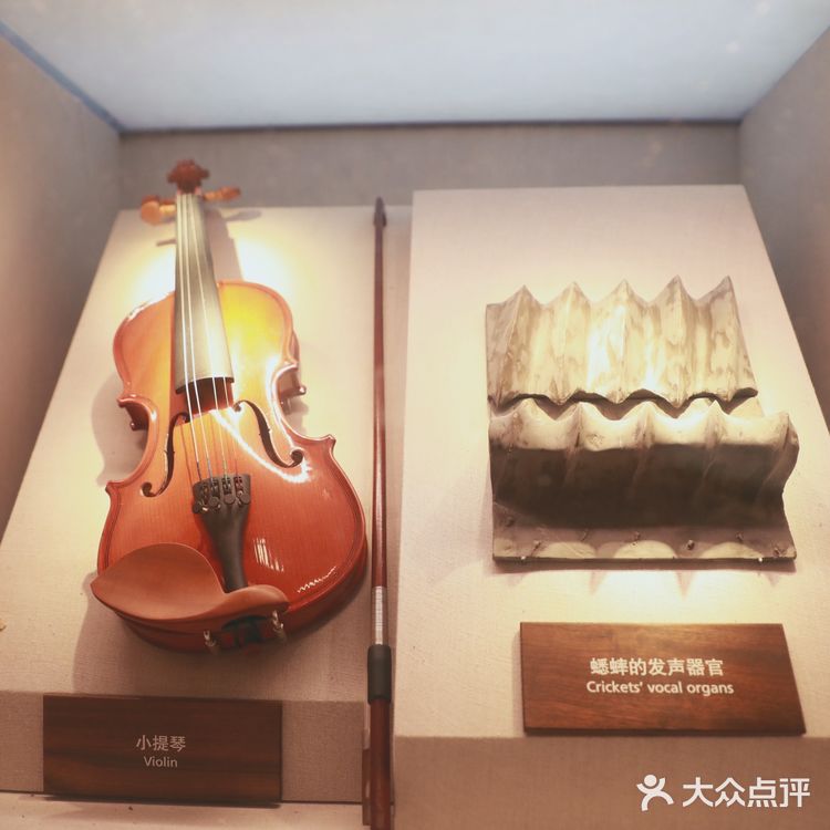 昆虫身上的奥秘