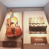 昆虫身上的奥秘