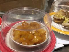 -万岁寿司(蓬江万达店)