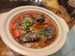 家烧甲鱼-大蓉和(一品天下店)