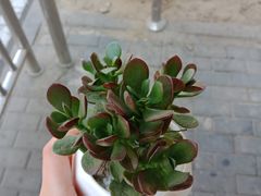 -中医药大学-老3楼餐厅