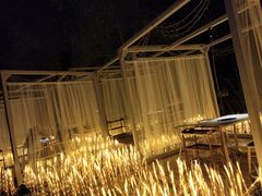 -维斯特·夜烤牛肋条任吃