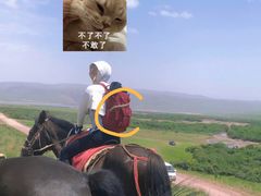 -山丹皇家马场