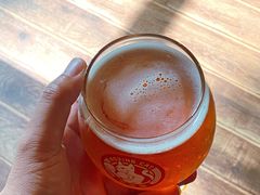 -Boxing Cat Brewery拳击猫精酿啤酒馆(永福店)