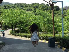 -东部华侨城