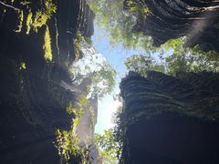 -梭布垭石林景区