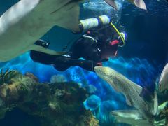 -上海海洋水族馆