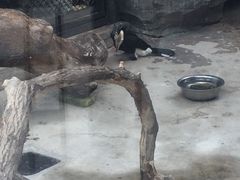 -泉州海丝野生动物世界