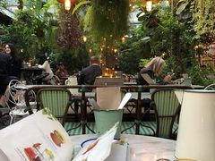 -The Grounds of Alexandria