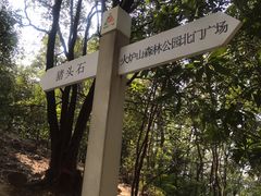 -火炉山森林公园