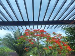 -石梅湾艾美度假酒店