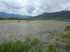 -泸沽湖国家级风景名胜区走婚桥