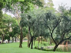 -晓港公园