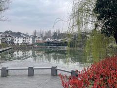 -迎晨餐厅(青芝坞店)