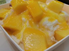 -杨小贤芒果绵绵冰(南门口店)