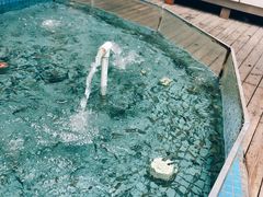 大堂-泰国鱼疗足疗馆