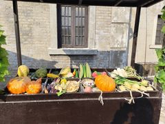 -清风小镇闯关东影视基地