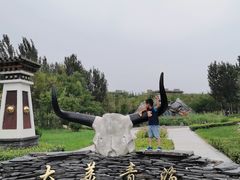 -武清南湖绿博园