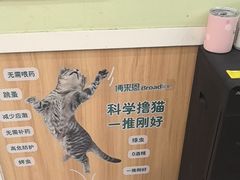 -瑞鹏宠物医院·夜间急症·心超·猫科(祖庙分店)