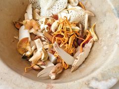 -七采菌园·石锅鱼野生菌火锅(环城北路店)