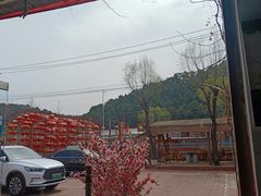 -龙福源密云水库灶台鱼