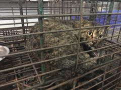 -小塘渔村(开平大道店)