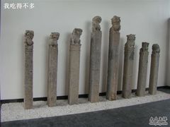 -松声马术俱乐部