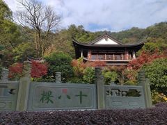 -十八棵（老龙井）御茶园(老龙井店)