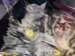 -尹记餐馆(花园店)