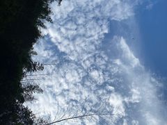 -周洛大峡谷