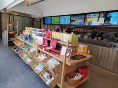 -长春堂顺时而饮(前门店)