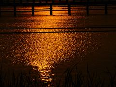 -滆湖低碳生态公园