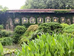 -中国茶叶博物馆(双峰馆区)