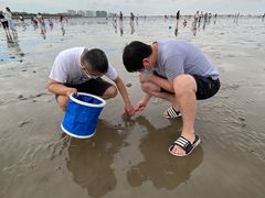 -奉贤海滩