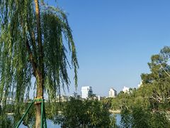 -西湖公园(鼓楼区)