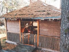 -五营红松林海景区