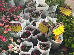 -沙洲路步行街(长安南路店)