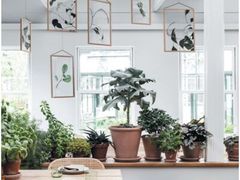 -DK45丹麦家居生活馆·依诺维绅(798店)