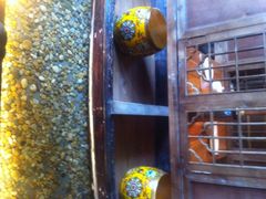 iphone_upload_pic-颐和•海鲜砂锅粥•啫啫煲(奥林匹克广场店)