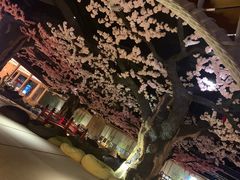 -蓝鲸湾汤泉(包河店)