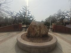 -睦南公园