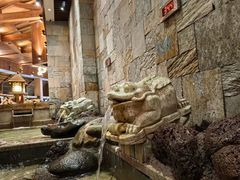 -汉拿山温泉度假酒店