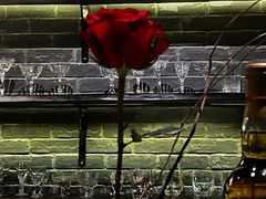 -格兰酒吧Glen Bar