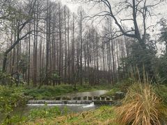 -杭州花家山庄