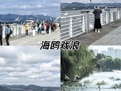 -海埂大坝