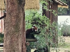 -合肥野生动物园